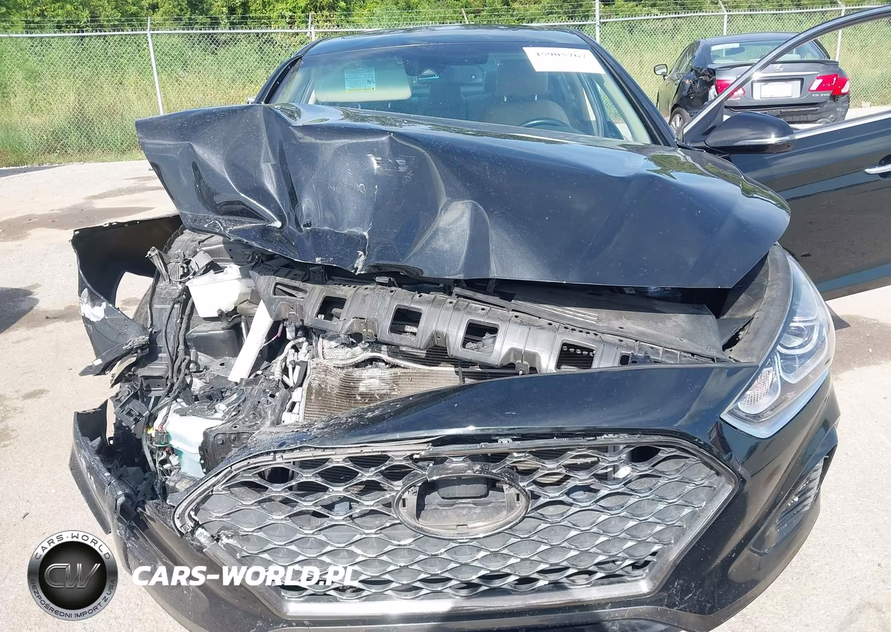 2019 Hyundai Sonata Limited VIN:5NPE34AF5KH801357 - 10
