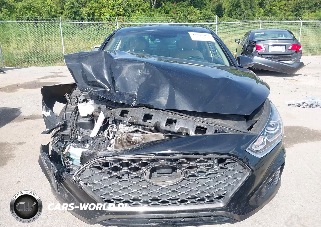 2019 Hyundai Sonata Limited VIN:5NPE34AF5KH801357 - 12