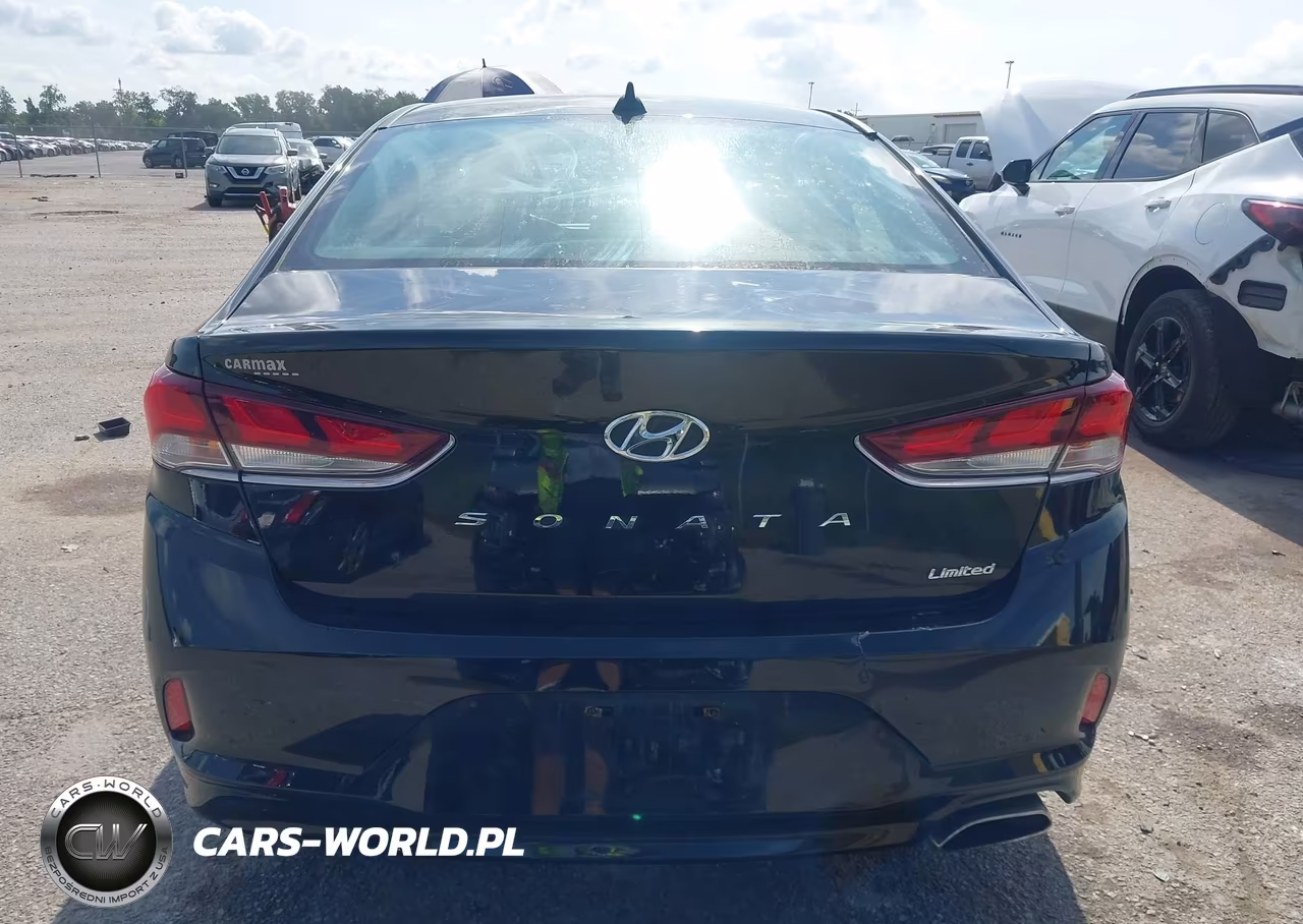 2019 Hyundai Sonata Limited VIN:5NPE34AF5KH801357 - 16