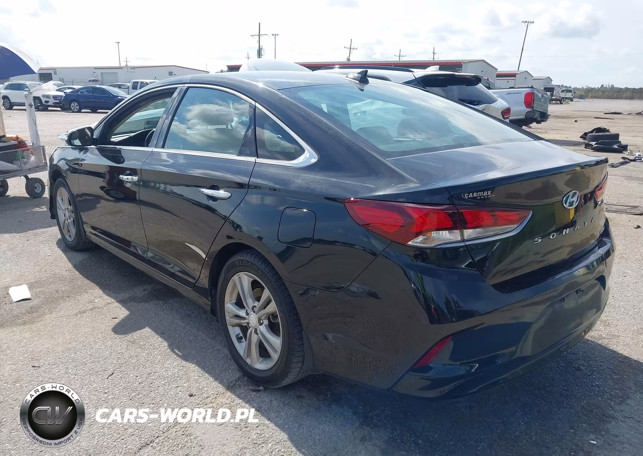 2019 Hyundai Sonata Limited VIN:5NPE34AF5KH801357 - 3