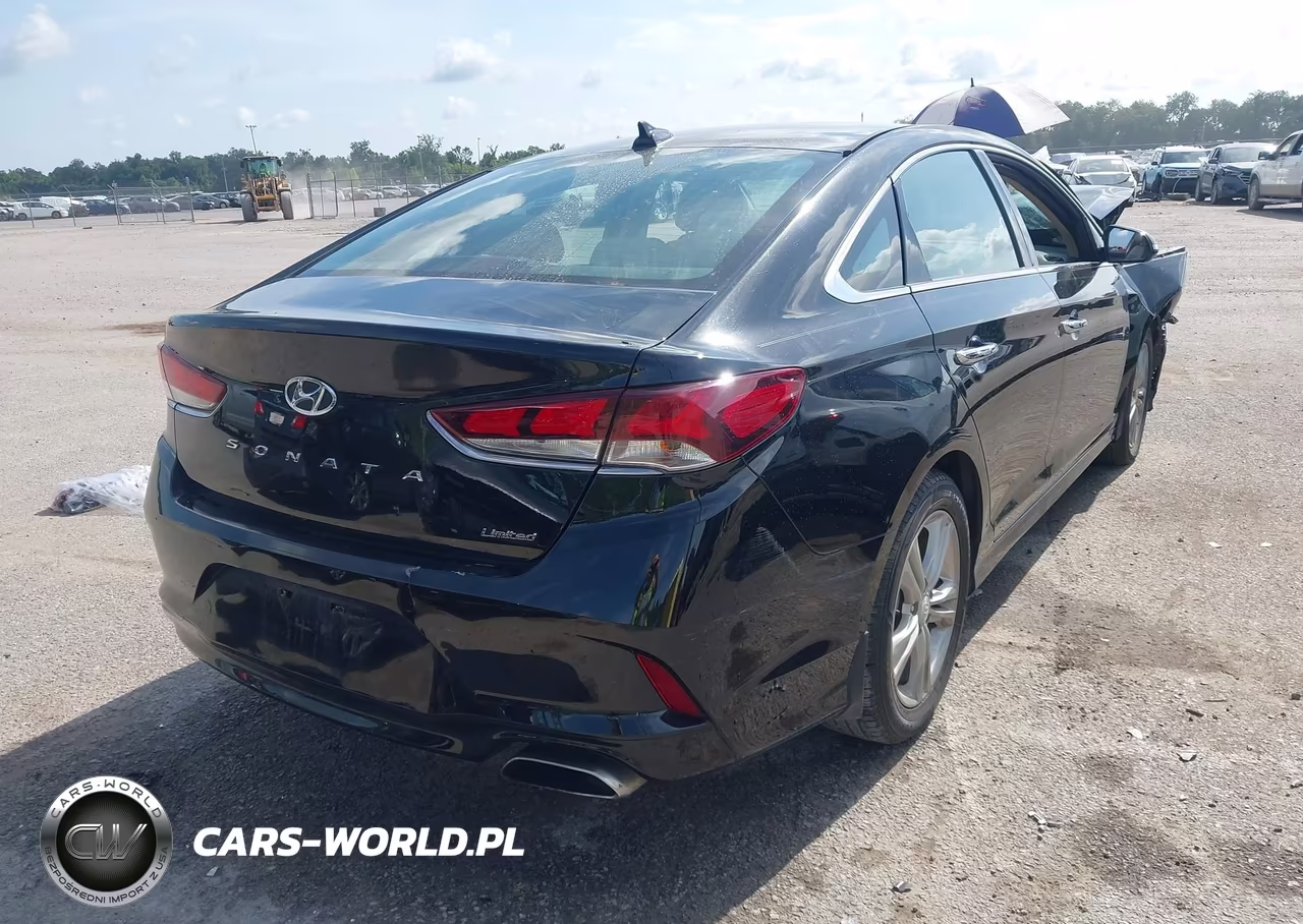 2019 Hyundai Sonata Limited VIN:5NPE34AF5KH801357 - 4