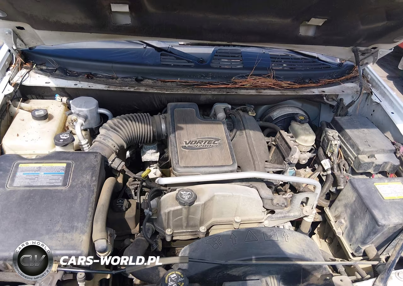 2006 Chevrolet Trailblazer Ls VIN:1GNDS13S362287112 - 10