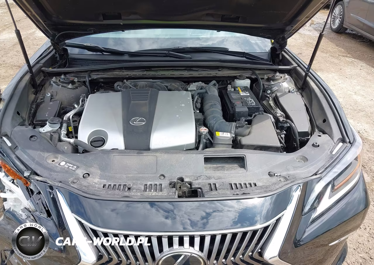 2019 Lexus Es 350 VIN:58ABZ1B13KU018423 - 10