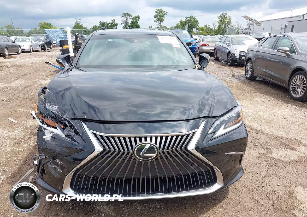 2019 Lexus Es 350 VIN:58ABZ1B13KU018423 - 13