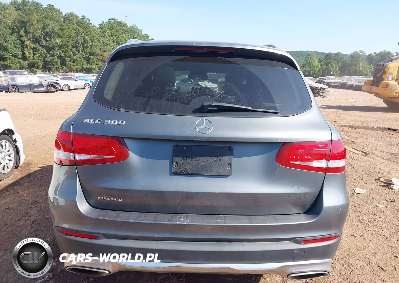 2016 Mercedes-Benz Glc 300 VIN:WDC0G4JBXGF034130 - 17