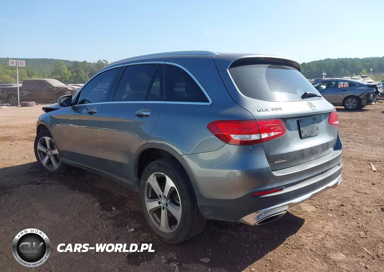 2016 Mercedes-Benz Glc 300 VIN:WDC0G4JBXGF034130 - 3