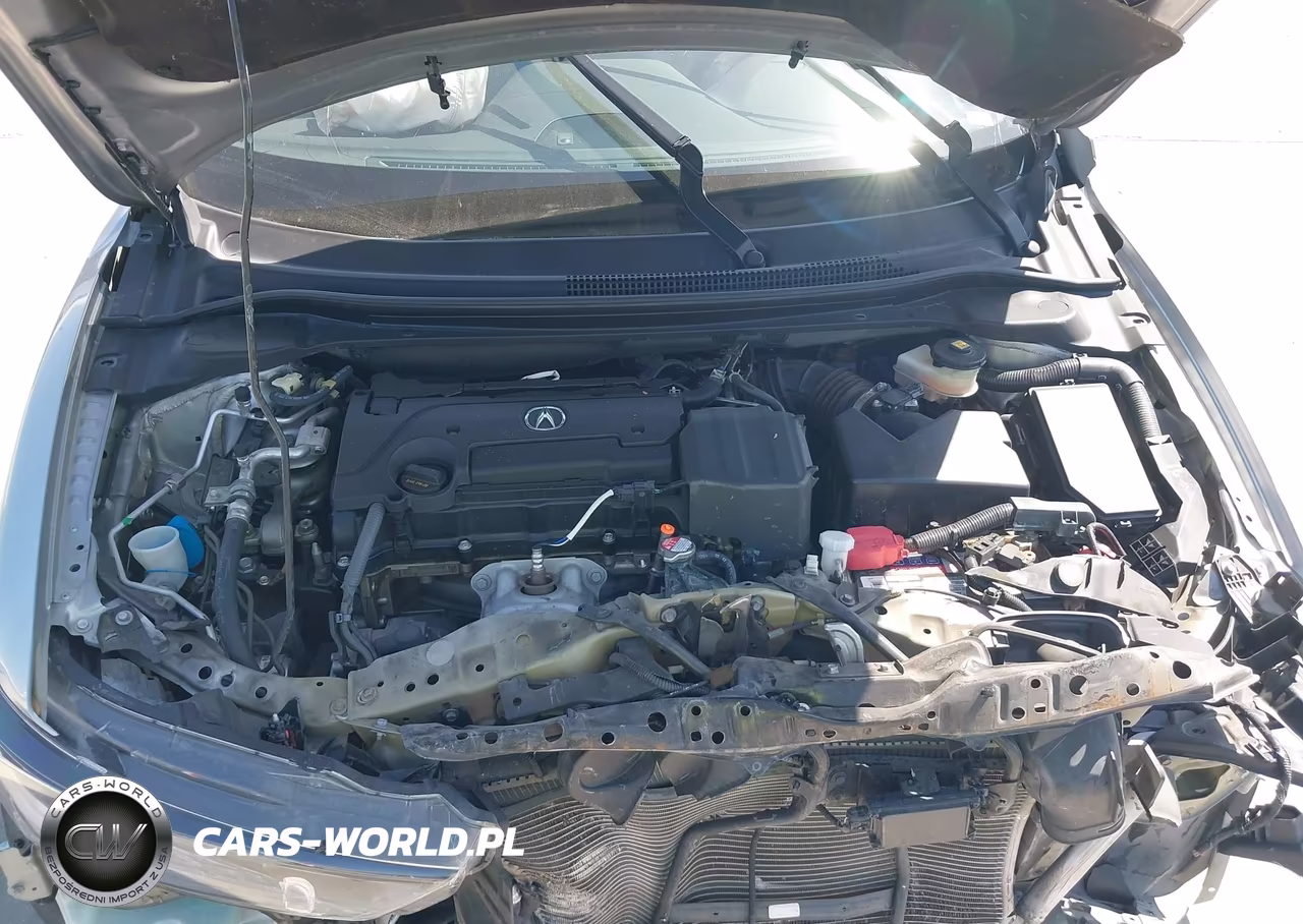 2019 Acura Ilx Premium Package-Technology Package VIN:19UDE2F7XKA013422 - 10