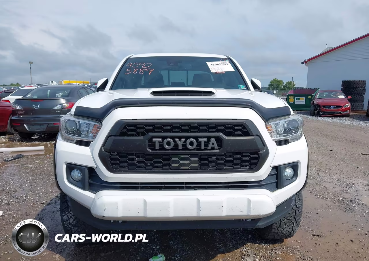 2019 Toyota Tacoma Trd Sport VIN:3TMCZ5AN8KM264772 - 12