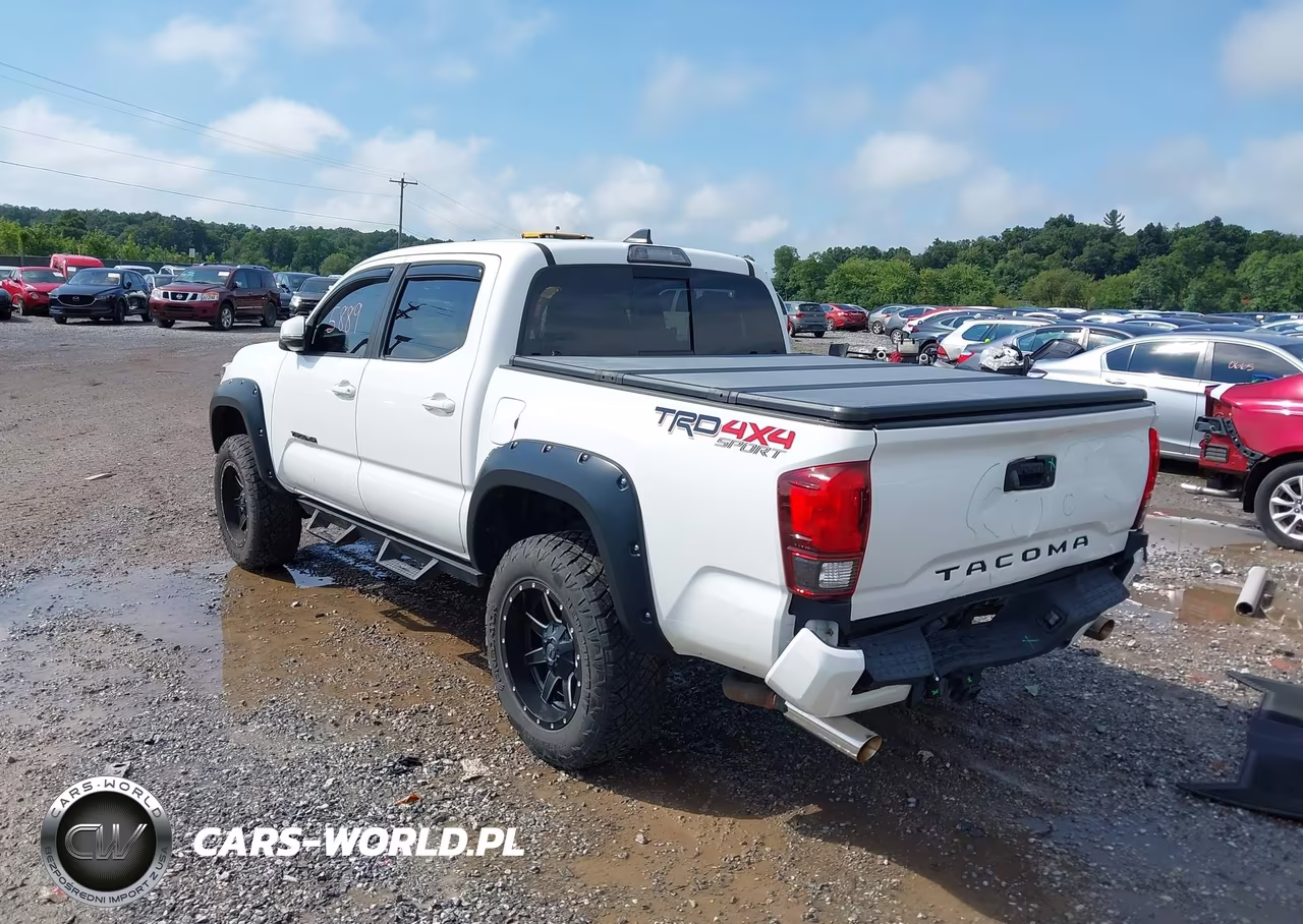 2019 Toyota Tacoma Trd Sport VIN:3TMCZ5AN8KM264772 - 3