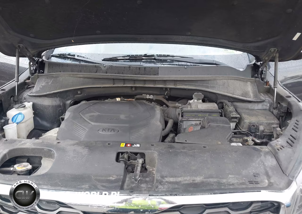 2019 Kia Sorento 3.3L Lx VIN:5XYPGDA54KG448329 - 10