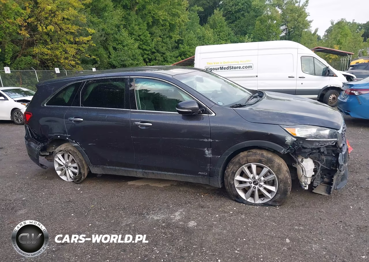2019 Kia Sorento 3.3L Lx VIN:5XYPGDA54KG448329 - 13