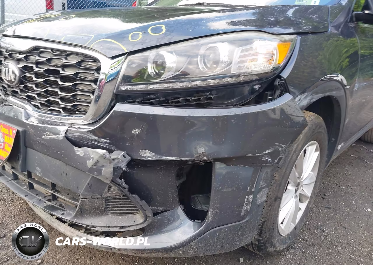 2019 Kia Sorento 3.3L Lx VIN:5XYPGDA54KG448329 - 6