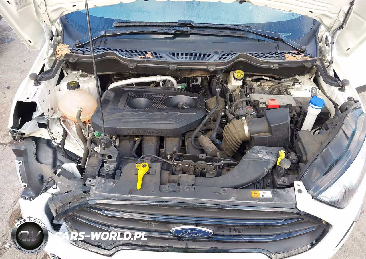 2019 Ford Ecosport S VIN:MAJ6S3FL6KC299587 - 10