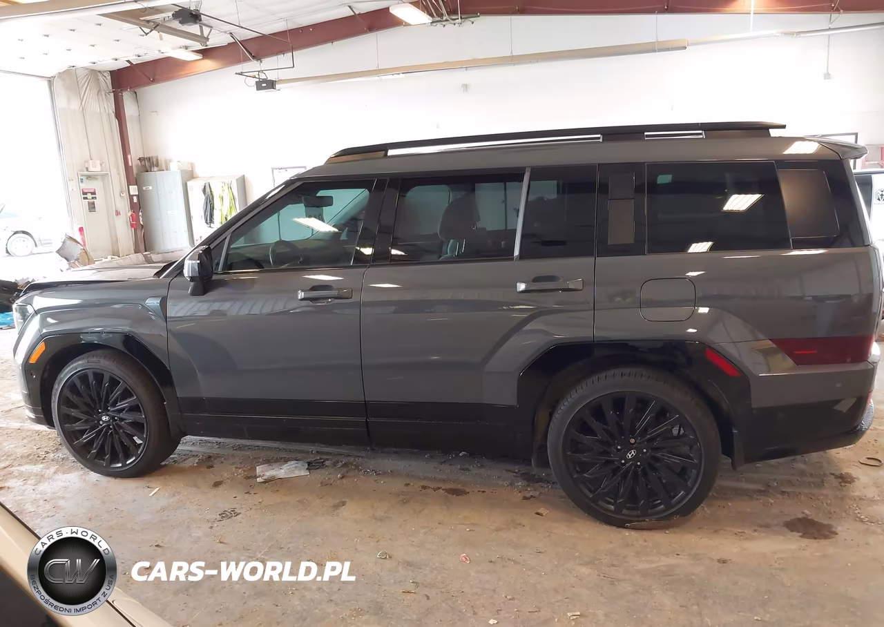 2024 Hyundai Santa Fe Calligraphy VIN:5NMP5DGL2RH051794 - 14