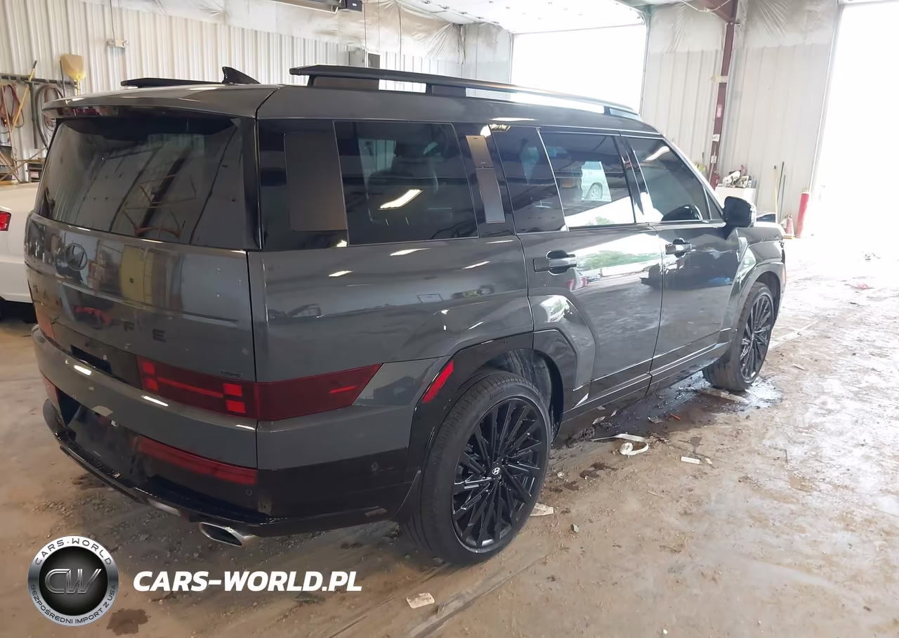 2024 Hyundai Santa Fe Calligraphy VIN:5NMP5DGL2RH051794 - 4