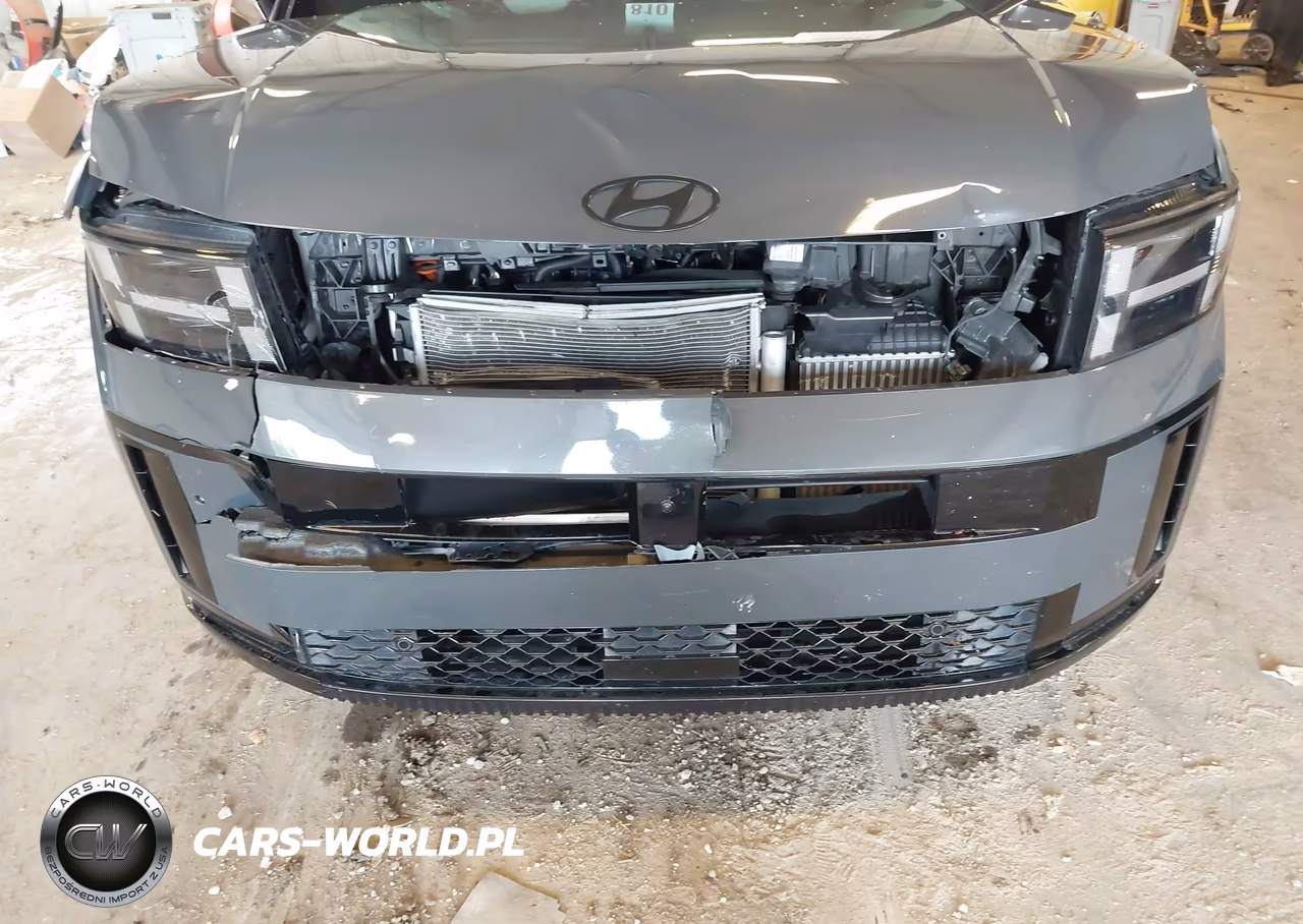 2024 Hyundai Santa Fe Calligraphy VIN:5NMP5DGL2RH051794 - 6
