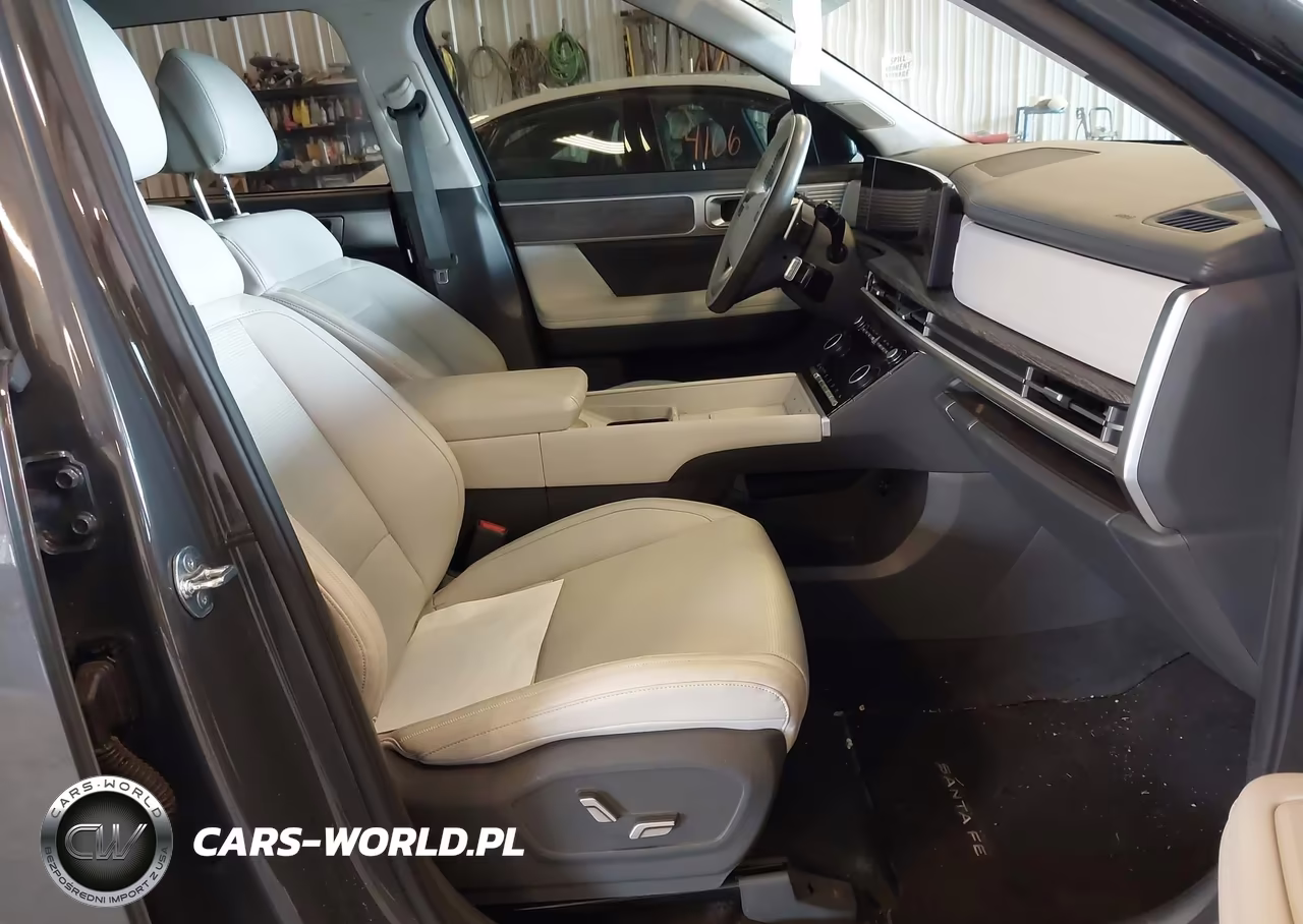 2024 Hyundai Santa Fe Calligraphy VIN:5NMP5DGL2RH051794 - 8