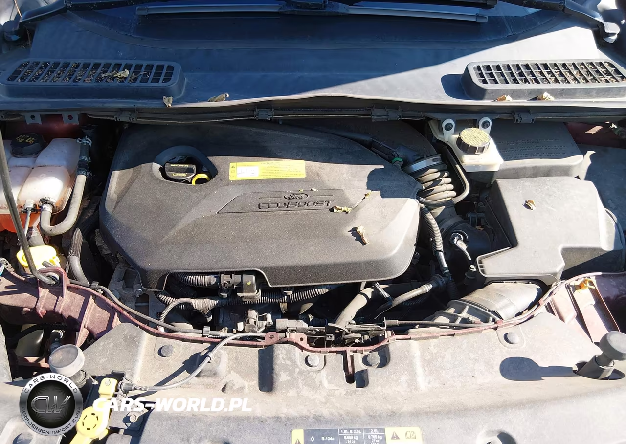 2014 Ford Escape Se VIN:1FMCU9GX3EUC81182 - 10