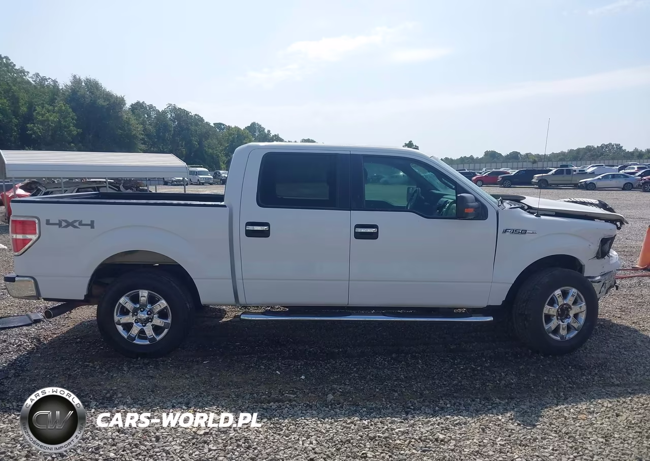 2013 Ford F-150 Xlt VIN:1FTFW1EF8DFA34931 - 13