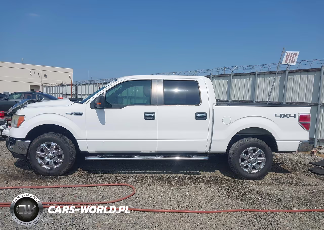 2013 Ford F-150 Xlt VIN:1FTFW1EF8DFA34931 - 14