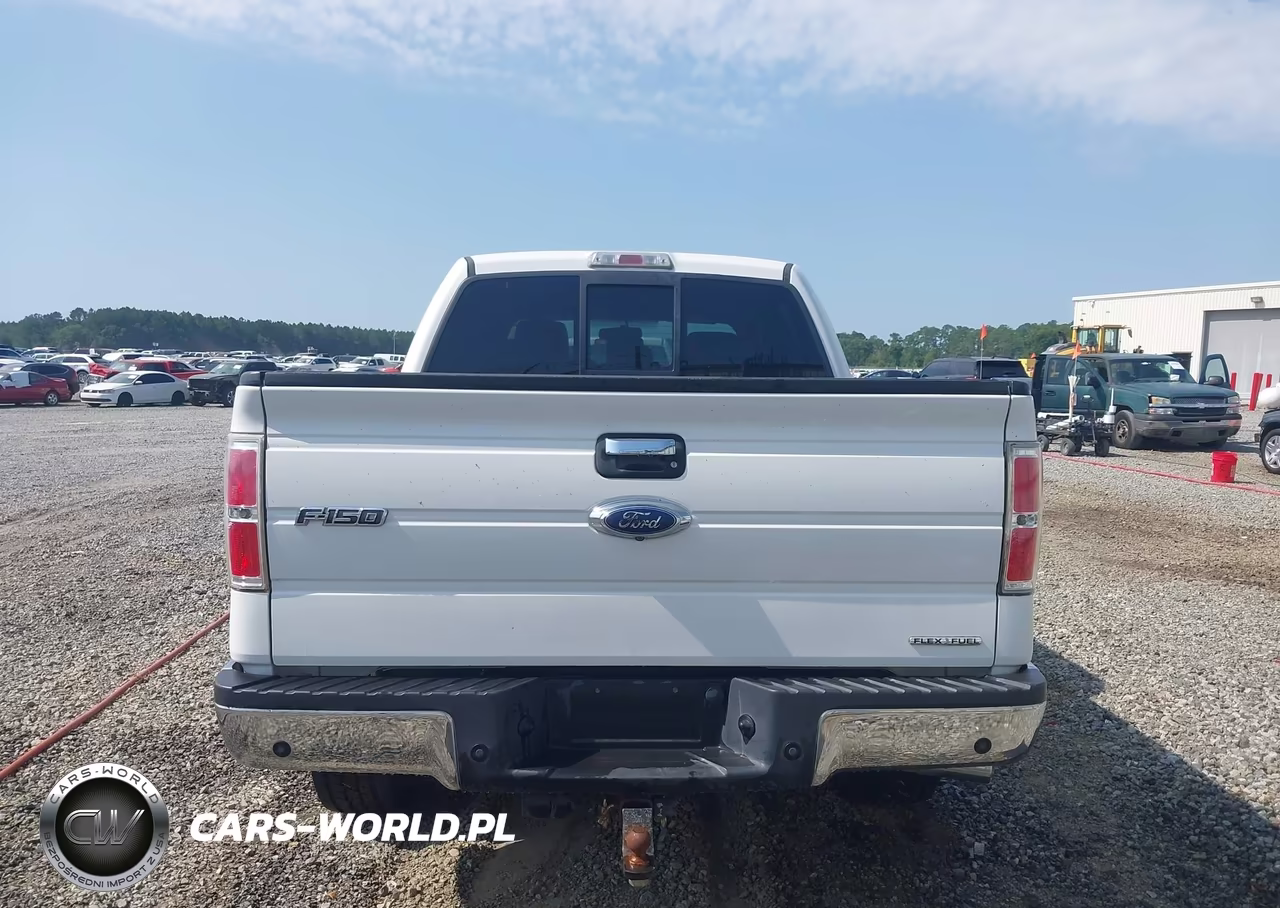 2013 Ford F-150 Xlt VIN:1FTFW1EF8DFA34931 - 16