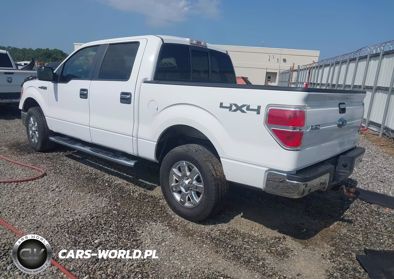 2013 Ford F-150 Xlt VIN:1FTFW1EF8DFA34931 - 3