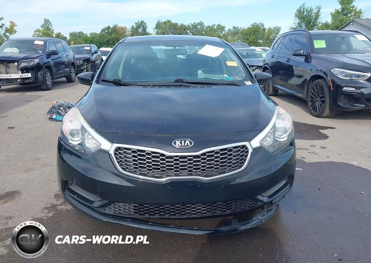 2016 Kia Forte Lx VIN:KNAFK4A69G5569910 - 12