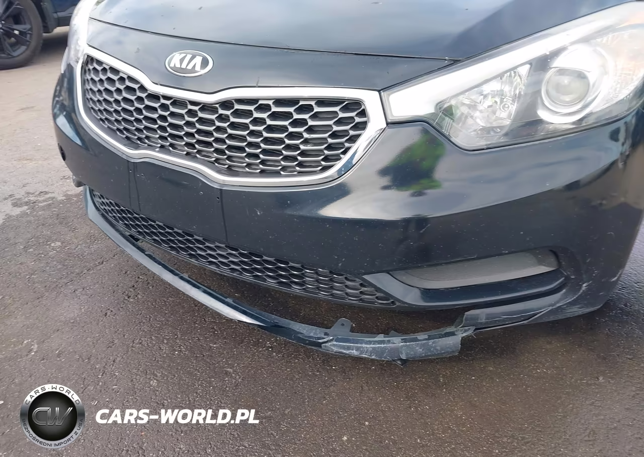 2016 Kia Forte Lx VIN:KNAFK4A69G5569910 - 17