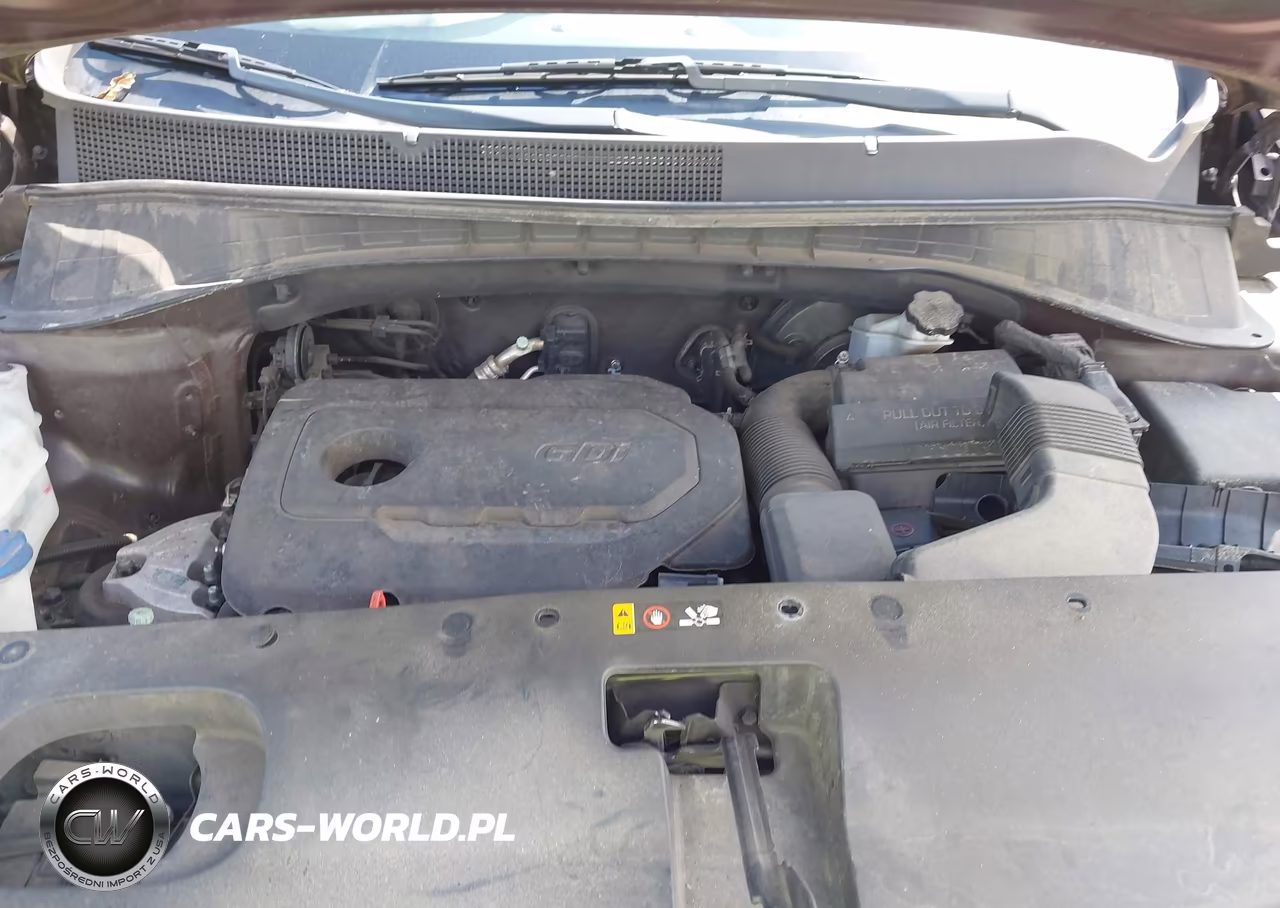 2017 Kia Sorento 2.4L Lx VIN:5XYPG4A31HG273464 - 10