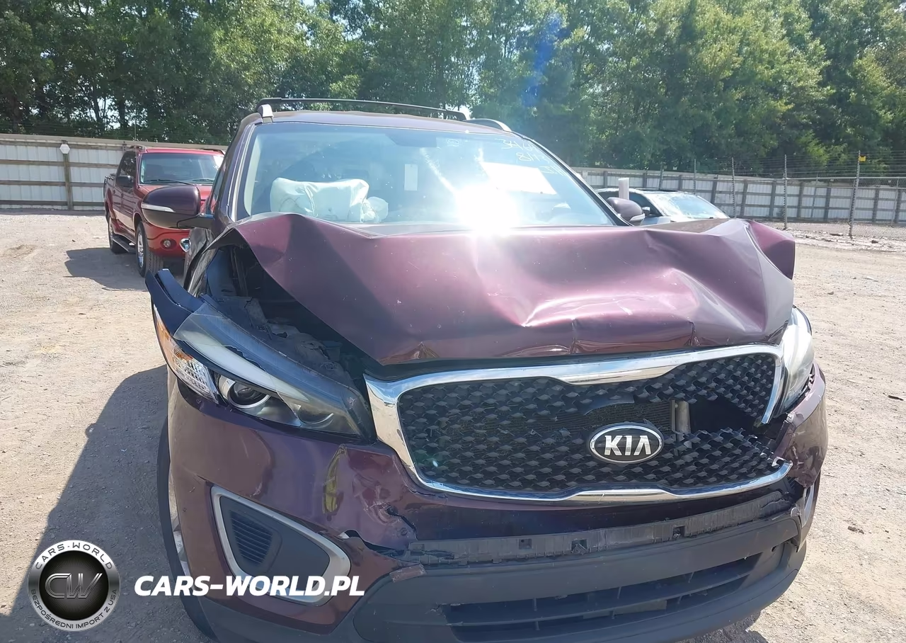 2017 Kia Sorento 2.4L Lx VIN:5XYPG4A31HG273464 - 12