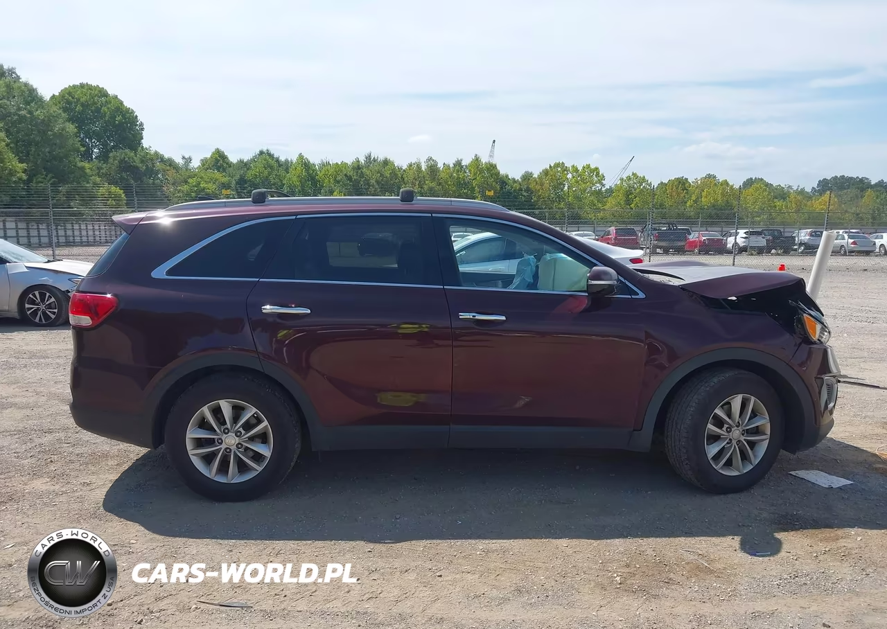 2017 Kia Sorento 2.4L Lx VIN:5XYPG4A31HG273464 - 13