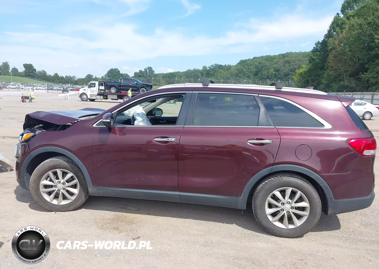 2017 Kia Sorento 2.4L Lx VIN:5XYPG4A31HG273464 - 14
