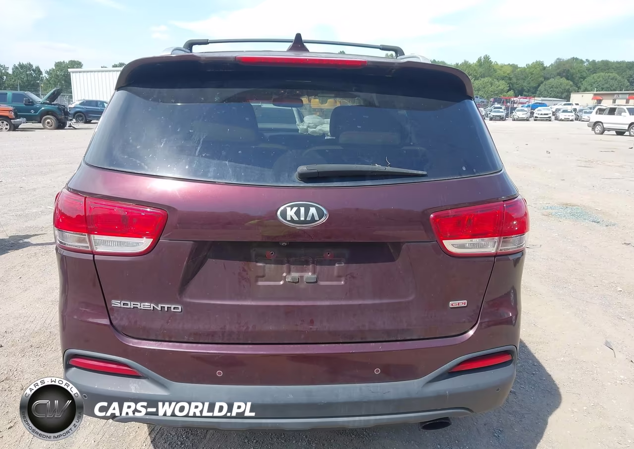 2017 Kia Sorento 2.4L Lx VIN:5XYPG4A31HG273464 - 16