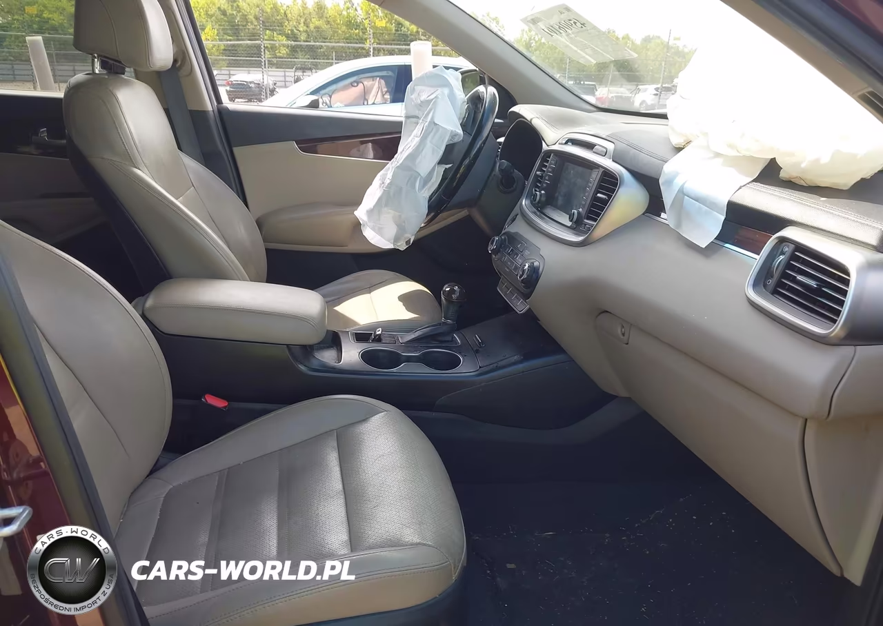 2017 Kia Sorento 2.4L Lx VIN:5XYPG4A31HG273464 - 5