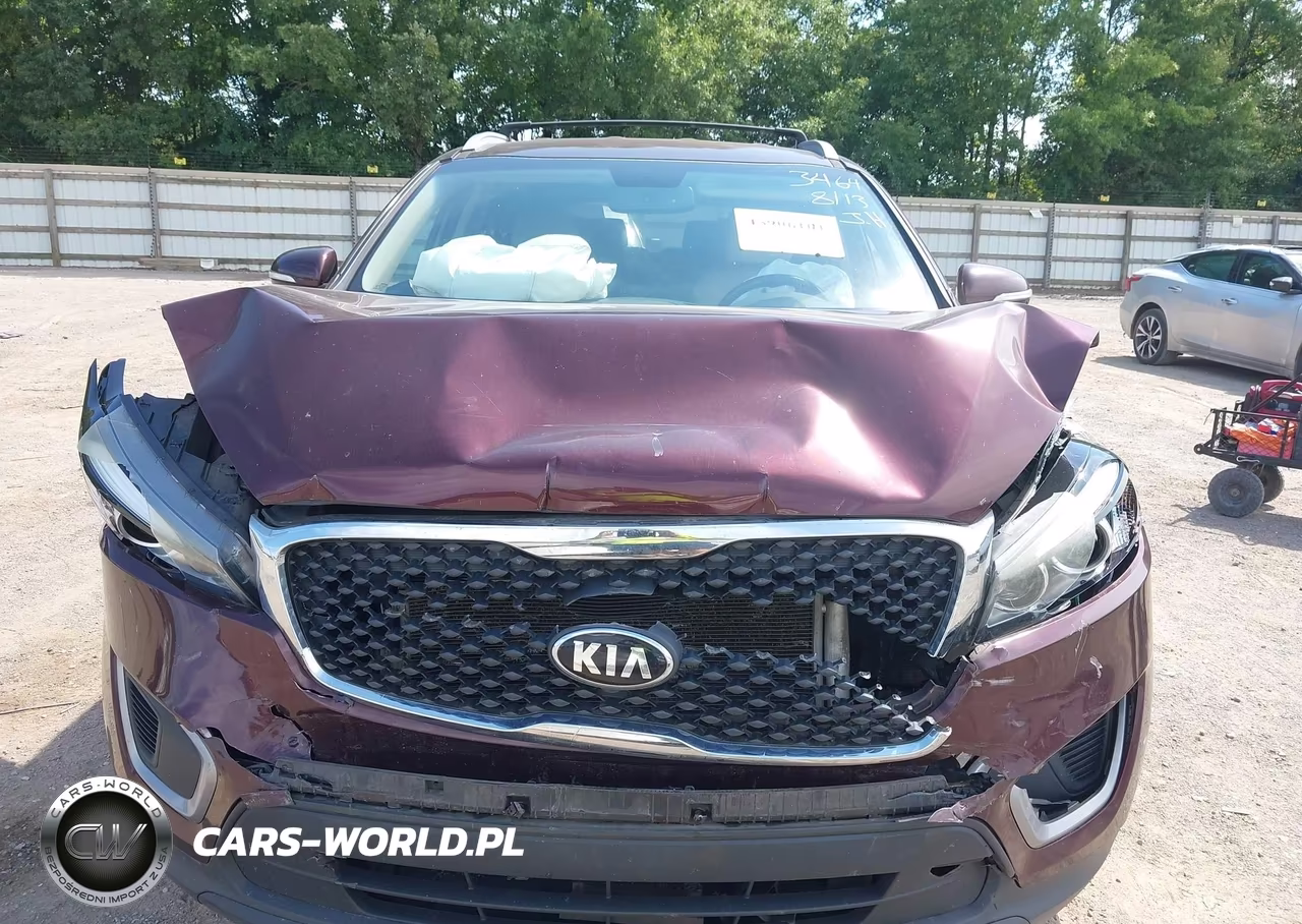 2017 Kia Sorento 2.4L Lx VIN:5XYPG4A31HG273464 - 6