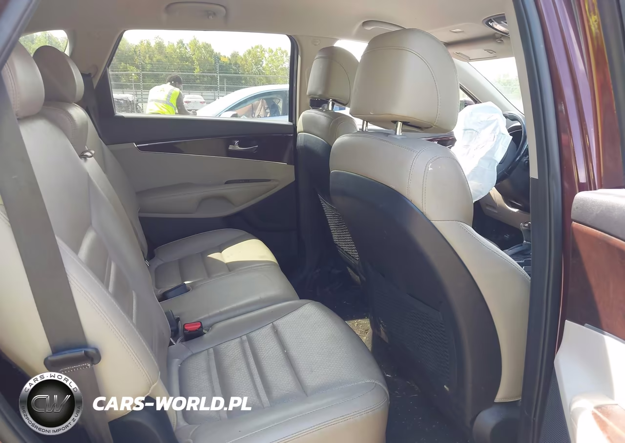 2017 Kia Sorento 2.4L Lx VIN:5XYPG4A31HG273464 - 8
