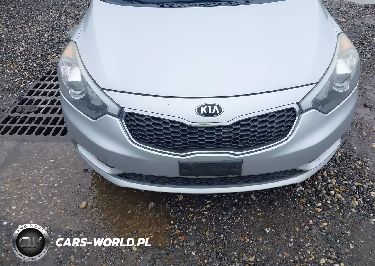 2016 Kia Forte Lx VIN:KNAFK5A89G5623777 - 6