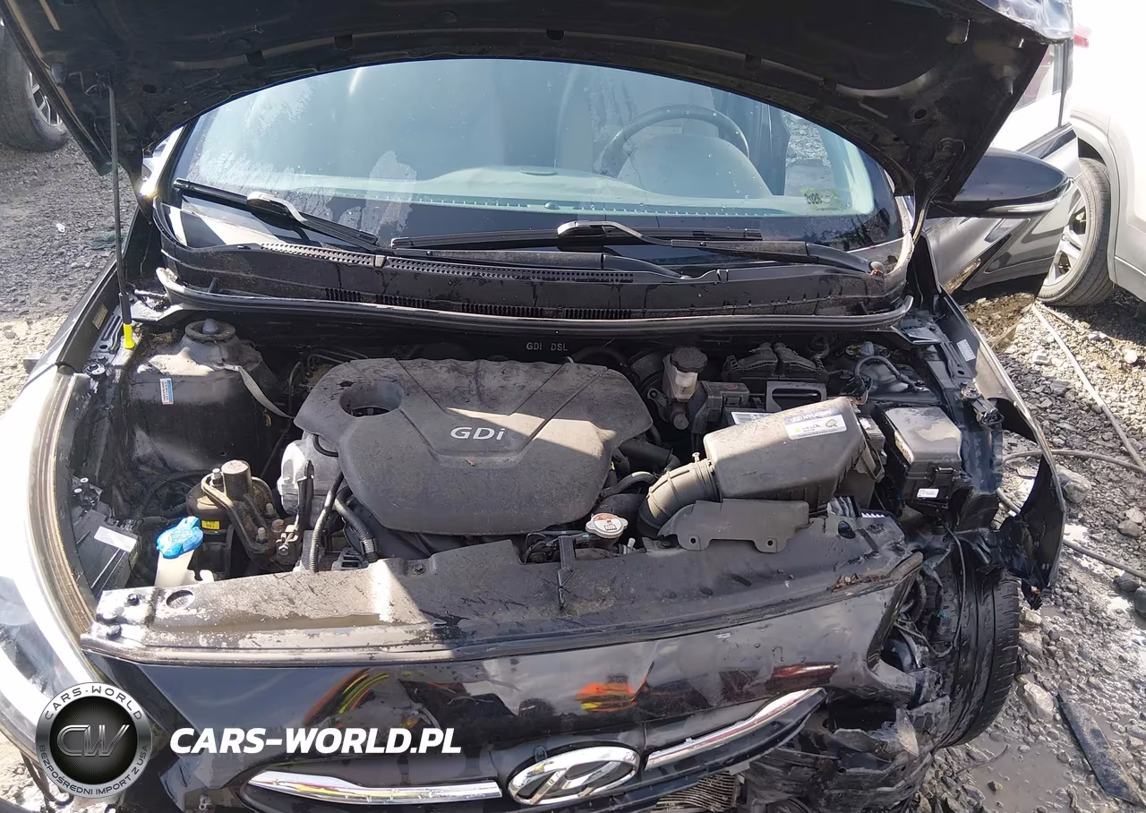 2016 Hyundai Accent Sport VIN:KMHCU5AE7GU237009 - 10