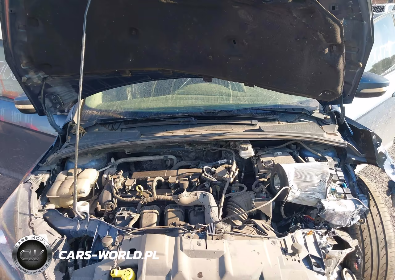 2018 Ford Focus Sel VIN:1FADP3H29JL221493 - 10