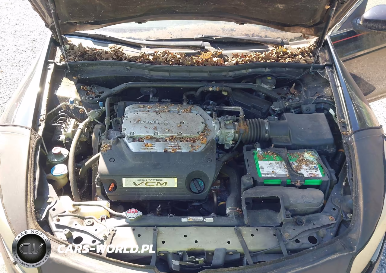 2010 Honda Accord 3.5 Ex-L VIN:1HGCP3F85AA015159 - 10
