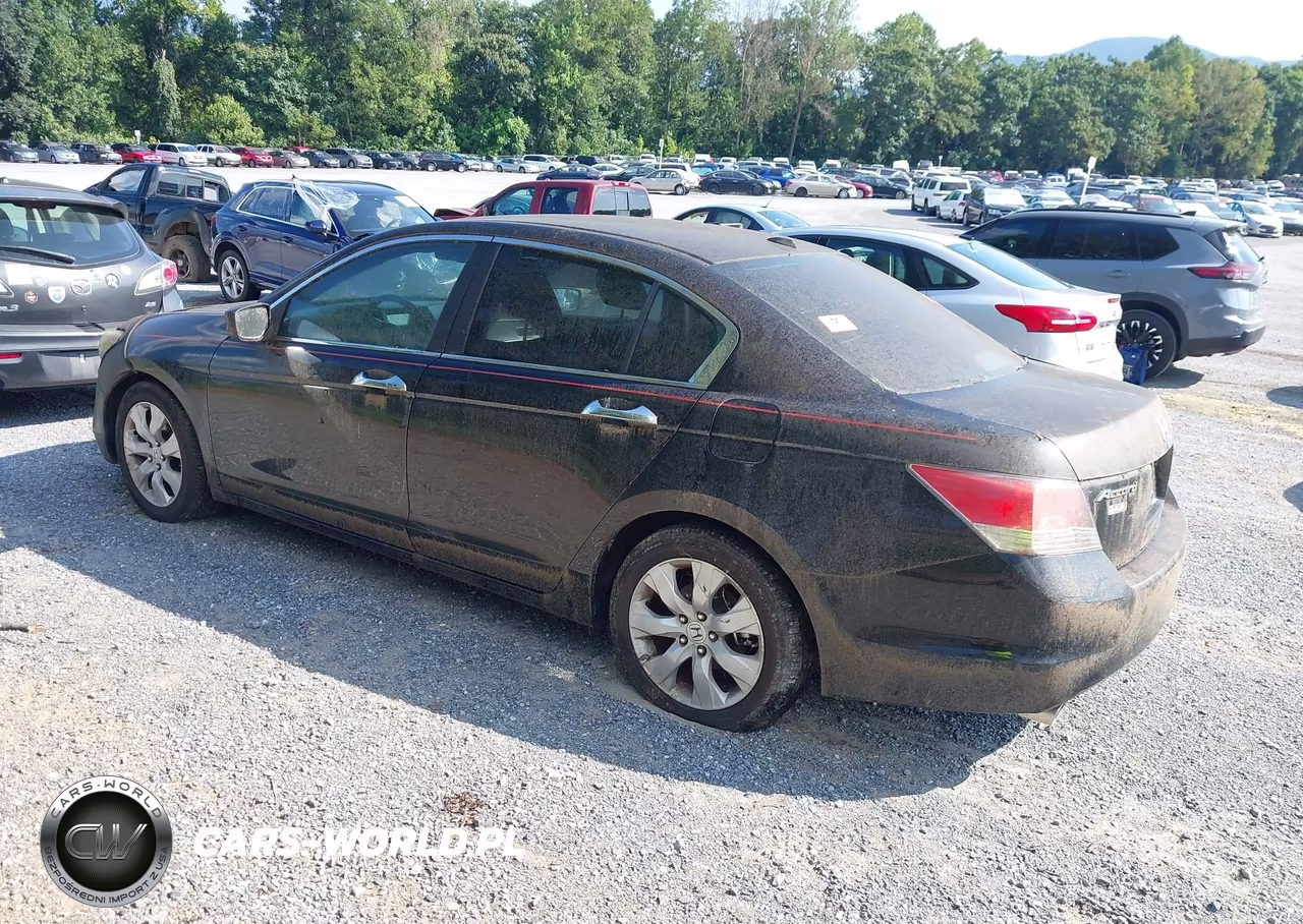 2010 Honda Accord 3.5 Ex-L VIN:1HGCP3F85AA015159 - 3