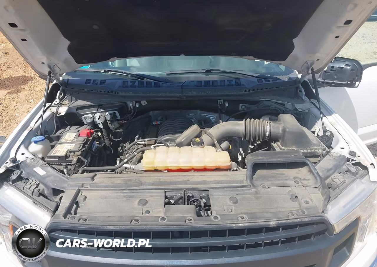 2018 Ford F-150 Xl VIN:1FTEW1E50JFC81598 - 10