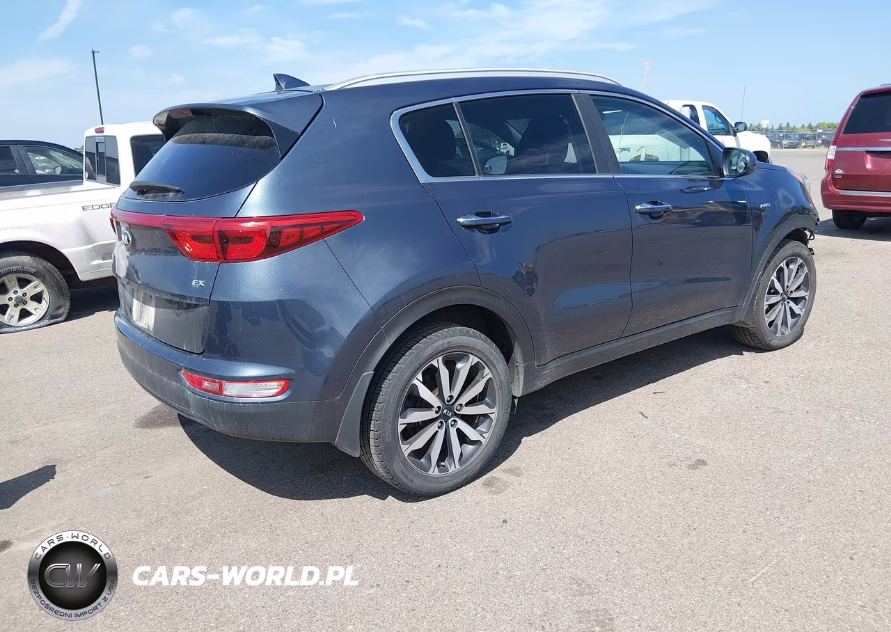 2017 Kia Sportage Ex VIN:KNDPNCAC0H7162787 - 4