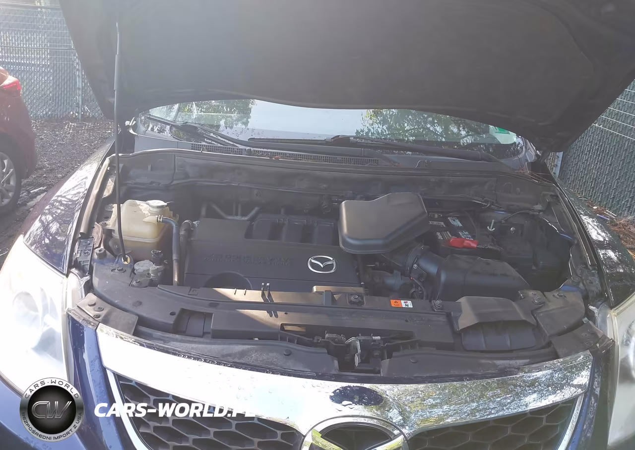 2012 Mazda Cx-9 Sport VIN:JM3TB2BA6C0362659 - 10