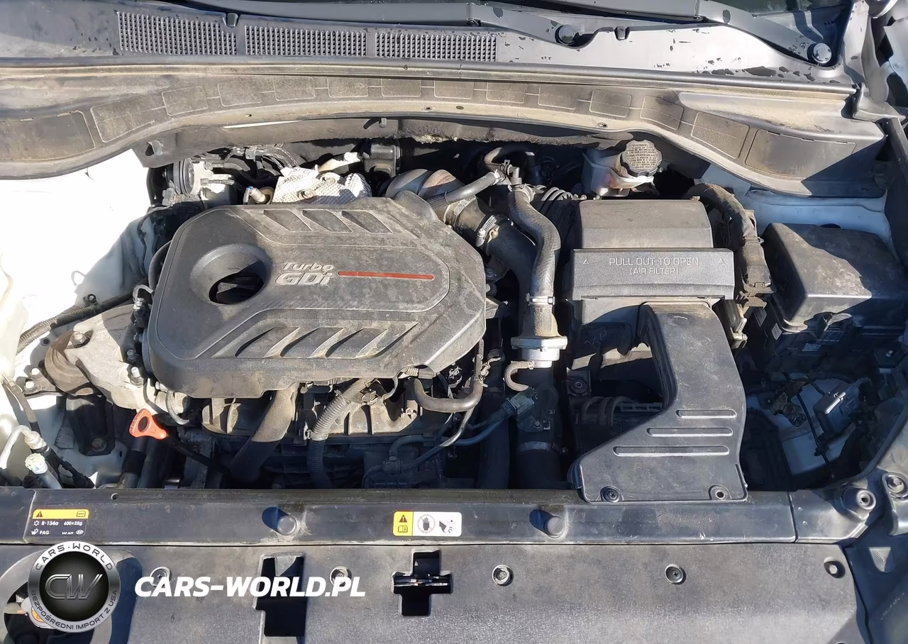 2017 Hyundai Santa Fe Sport 2.0T Ultimate VIN:5XYZWDLA9HG435638 - 10