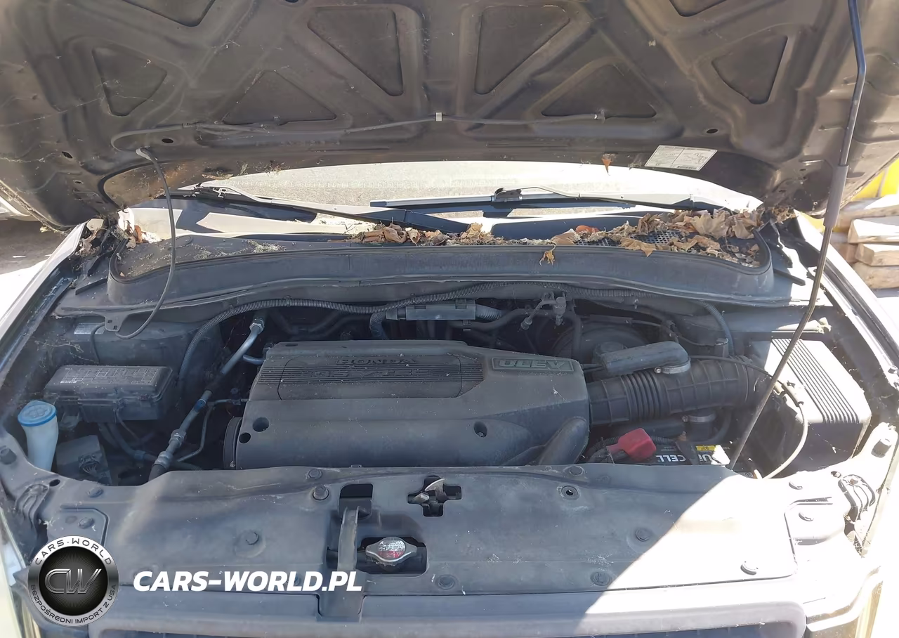2003 Honda Pilot Exl VIN:2HKYF18683H618674 - 10