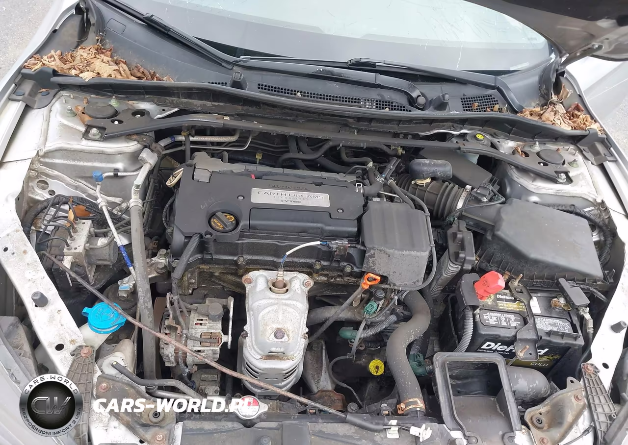 2014 Honda Accord Ex-L VIN:1HGCR2F83EA158427 - 10