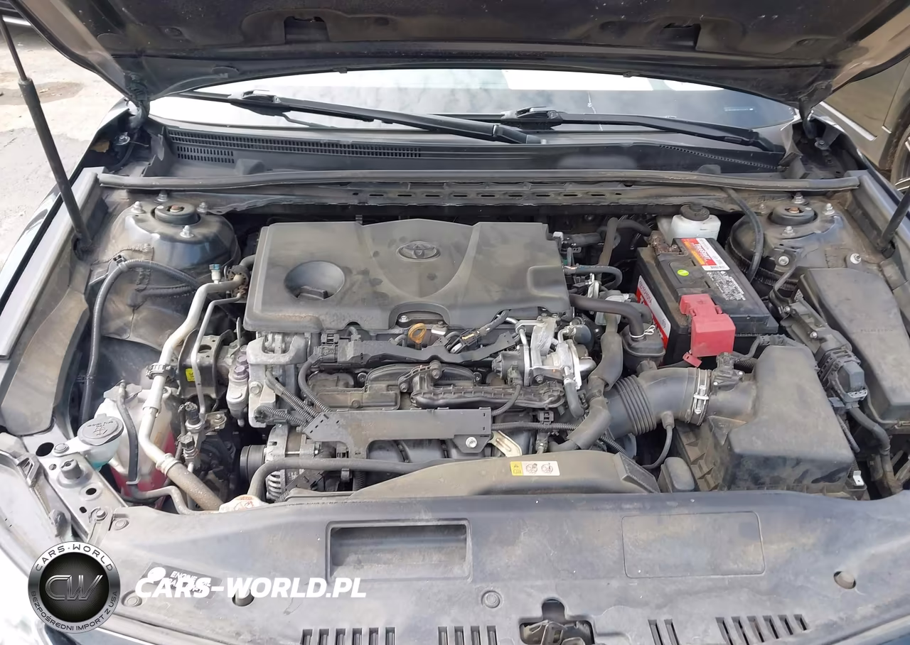 2019 Toyota Camry Le VIN:4T1B11HKXKU244974 - 10