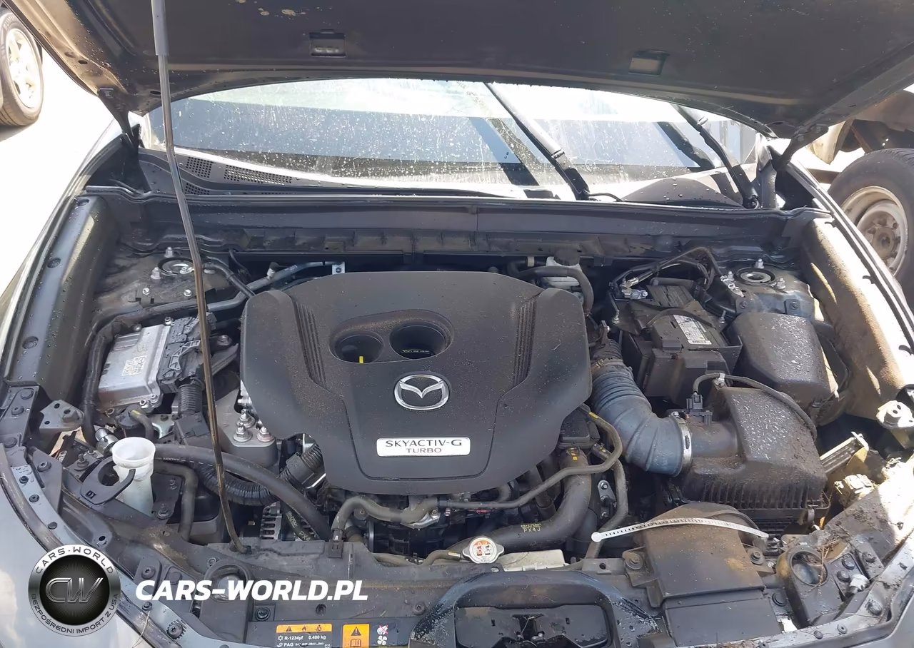 2022 Mazda Cx-30 2.5 Turbo Premium VIN:3MVDMBDY1NM435789 - 10