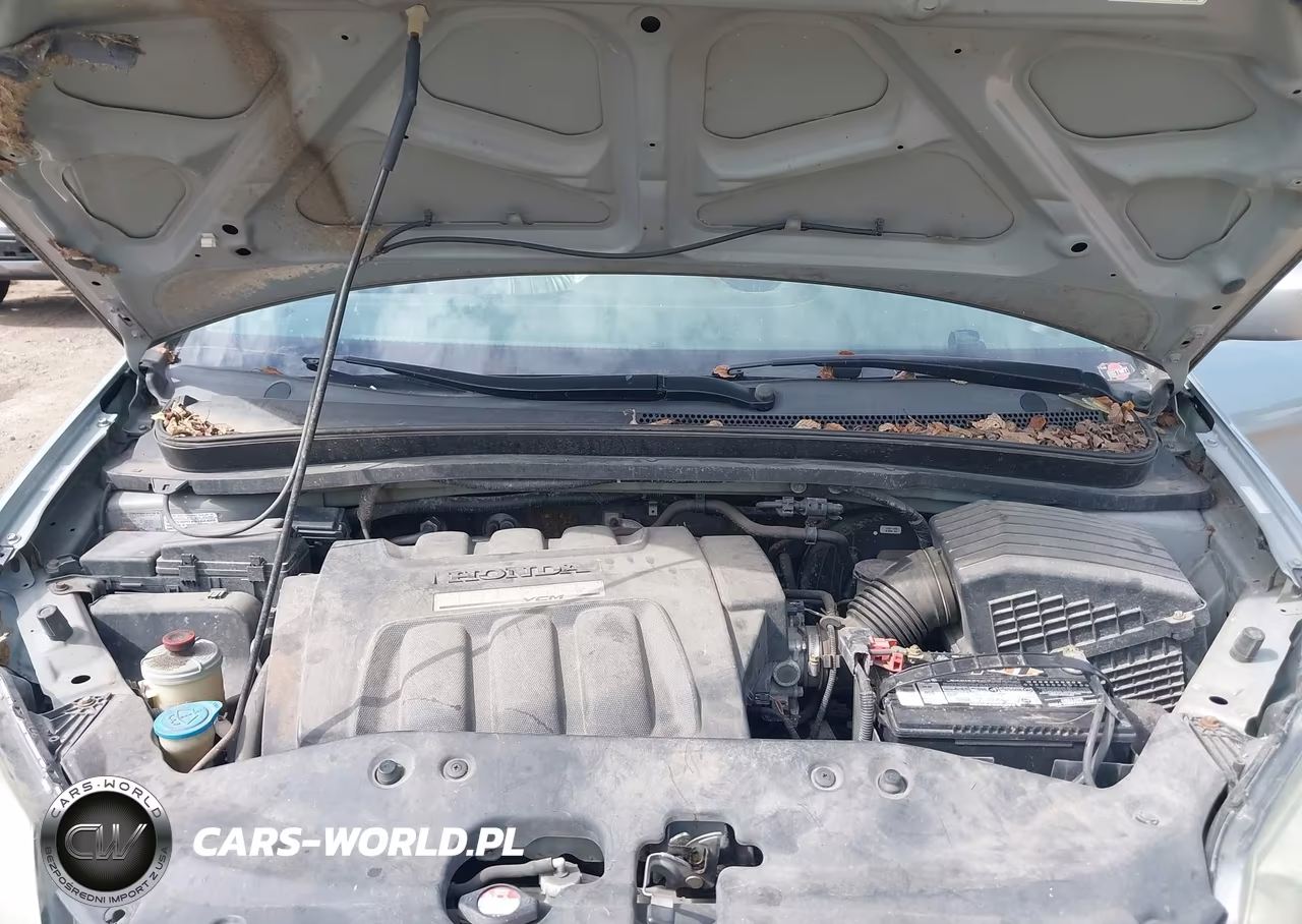 2005 Honda Odyssey Ex-L VIN:5FNRL387X5B066260 - 10